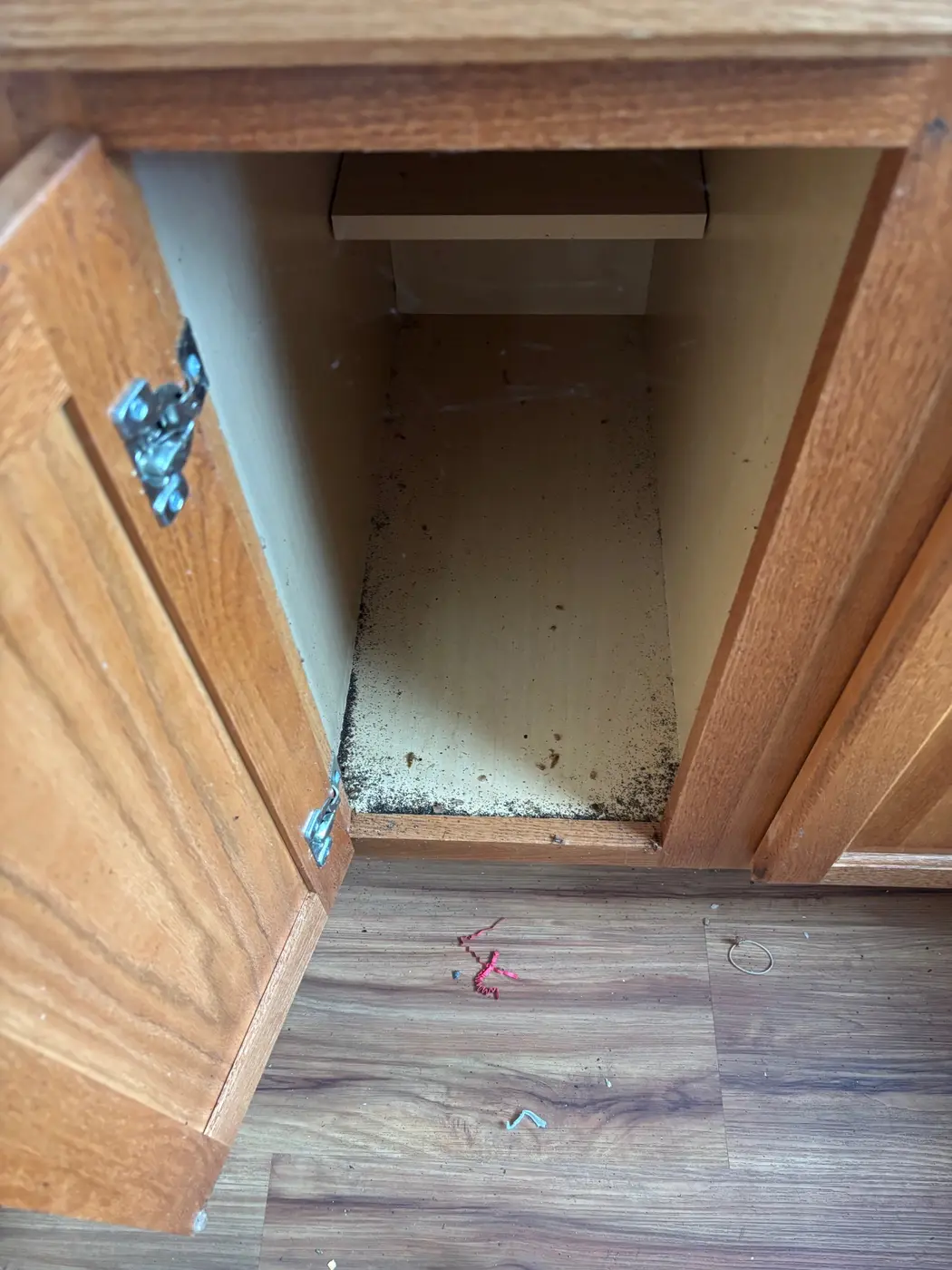 Before cleaning: cabinet under the sink