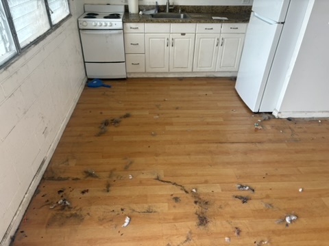 Before cleaning: kitchen floor