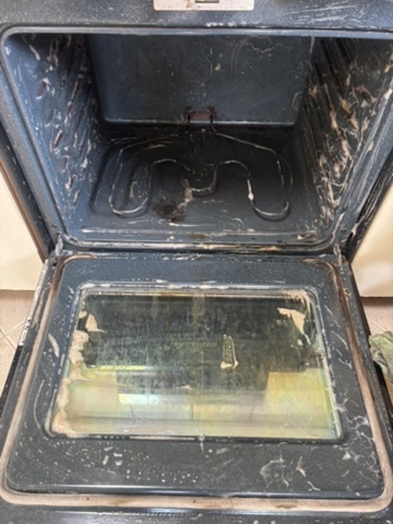 Before cleaning: oven interior