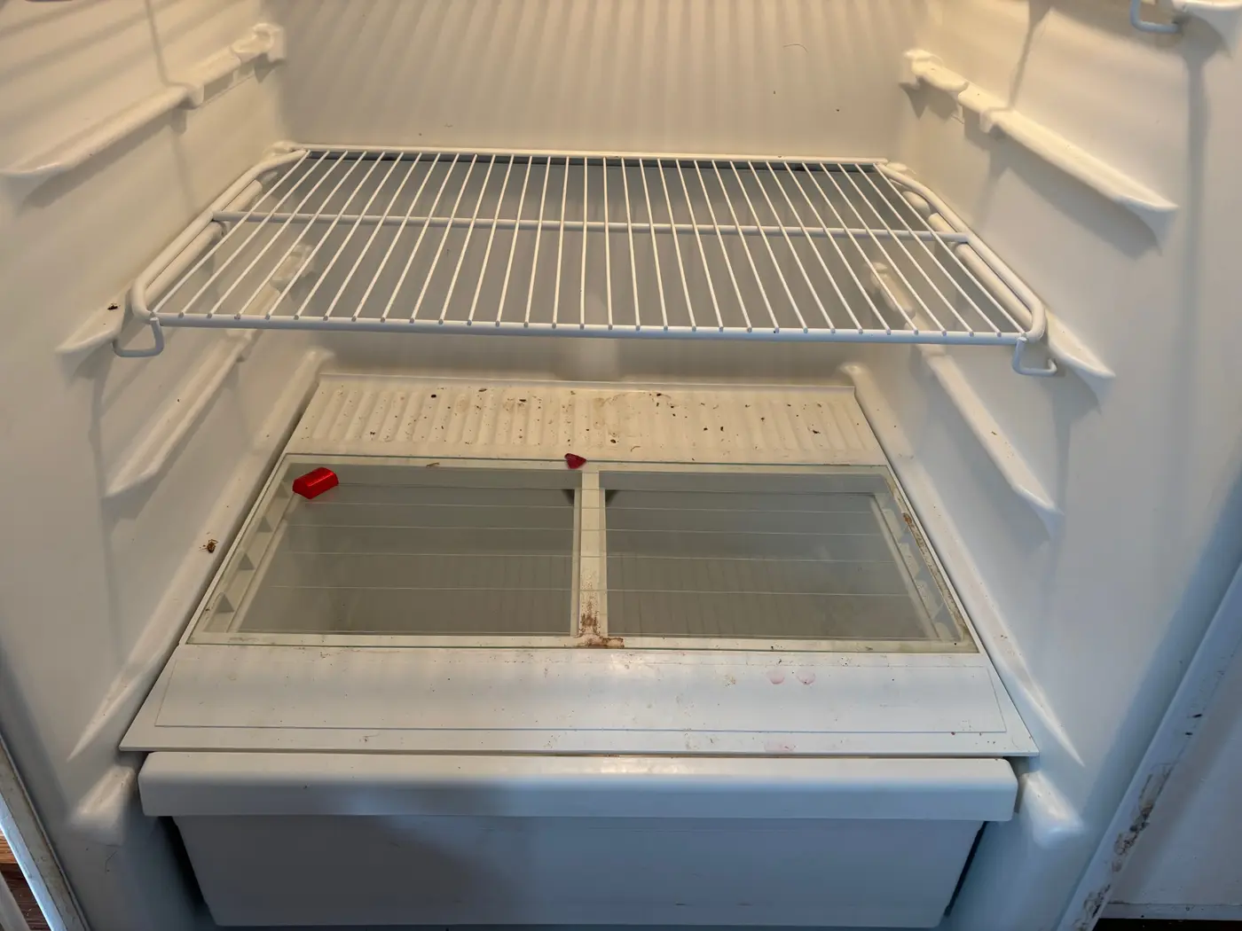 Before cleaning: refrigerator interior