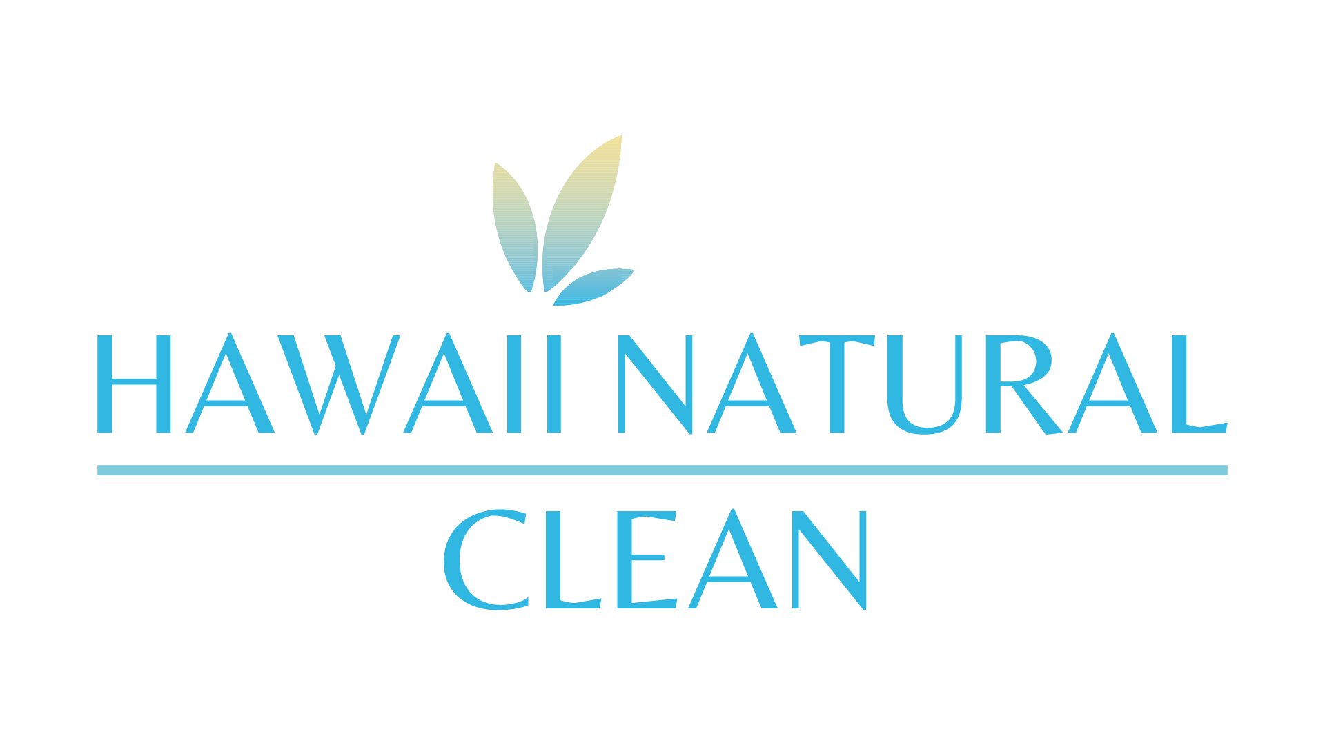 Hawaii Natural Clean Logo Design VF 011625